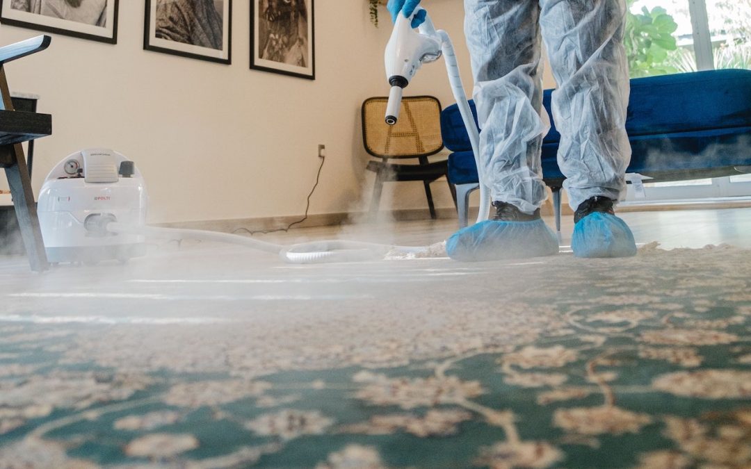 The Benefits of Professional Carpet Cleaning: Understanding the Process and Services