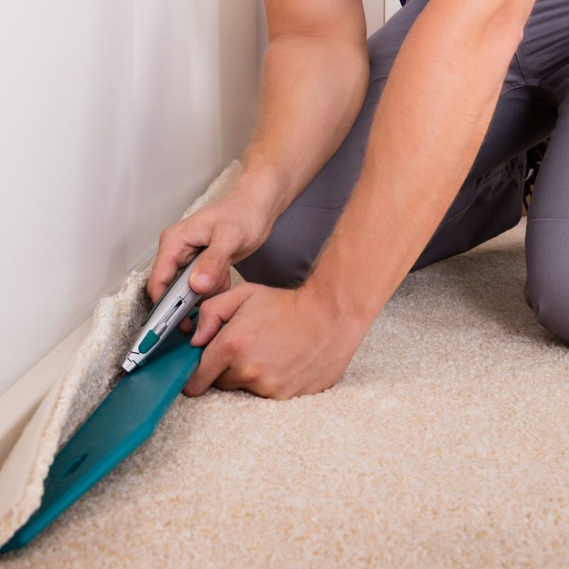Carpet Cleaning